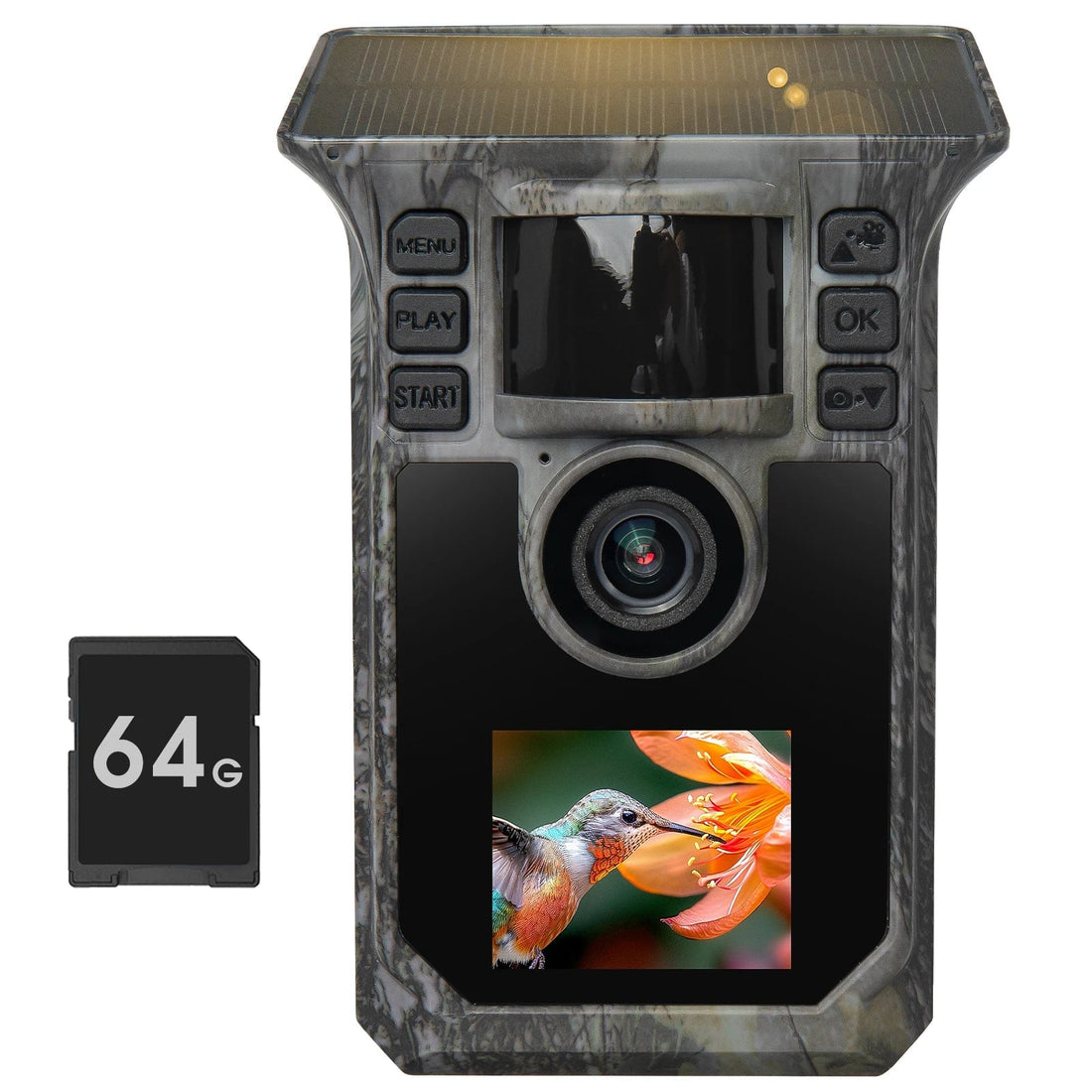 Trail Camera Placement 101 — Where to Put It So You Actually See Deer
