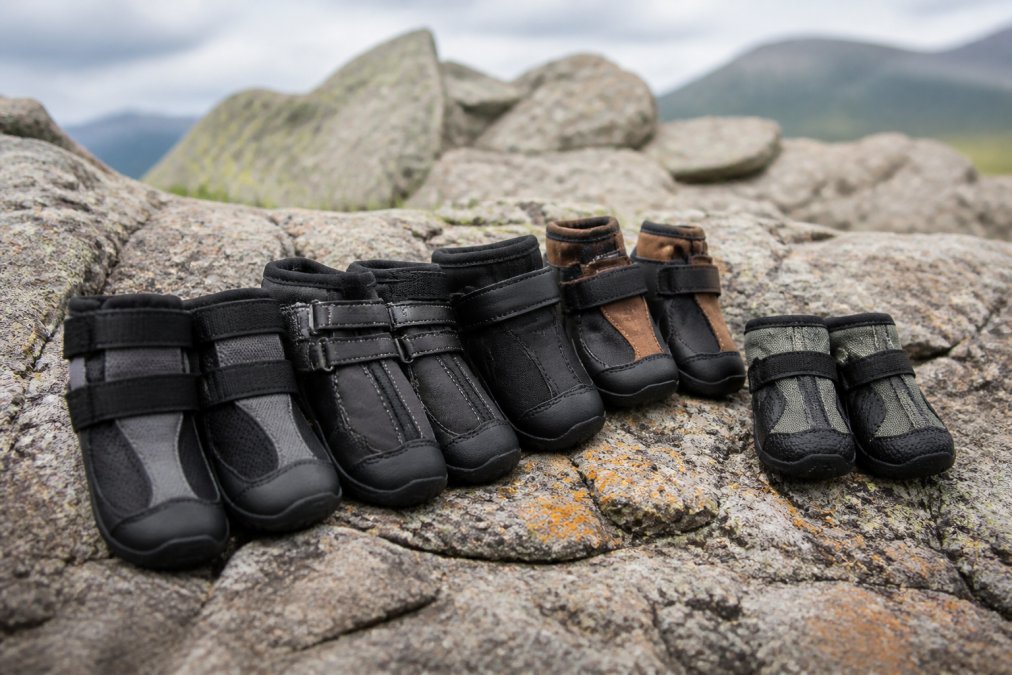 Dog Hiking Boots for Rocky Terrain: 7 Best Picks
