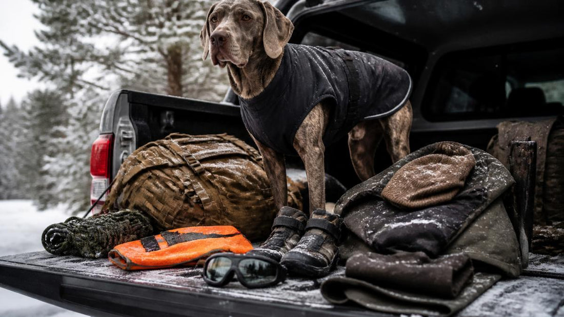 Essential Gear for Hunting Dogs in Harsh Weather