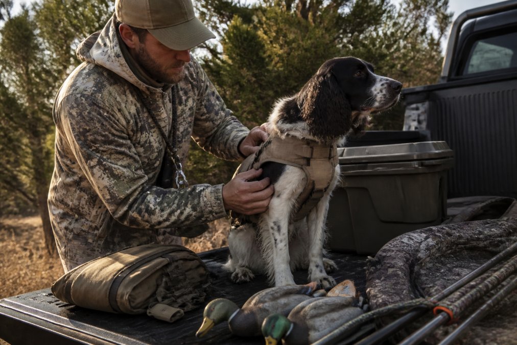 How to Prepare Dogs for Hunting: A Complete Guide