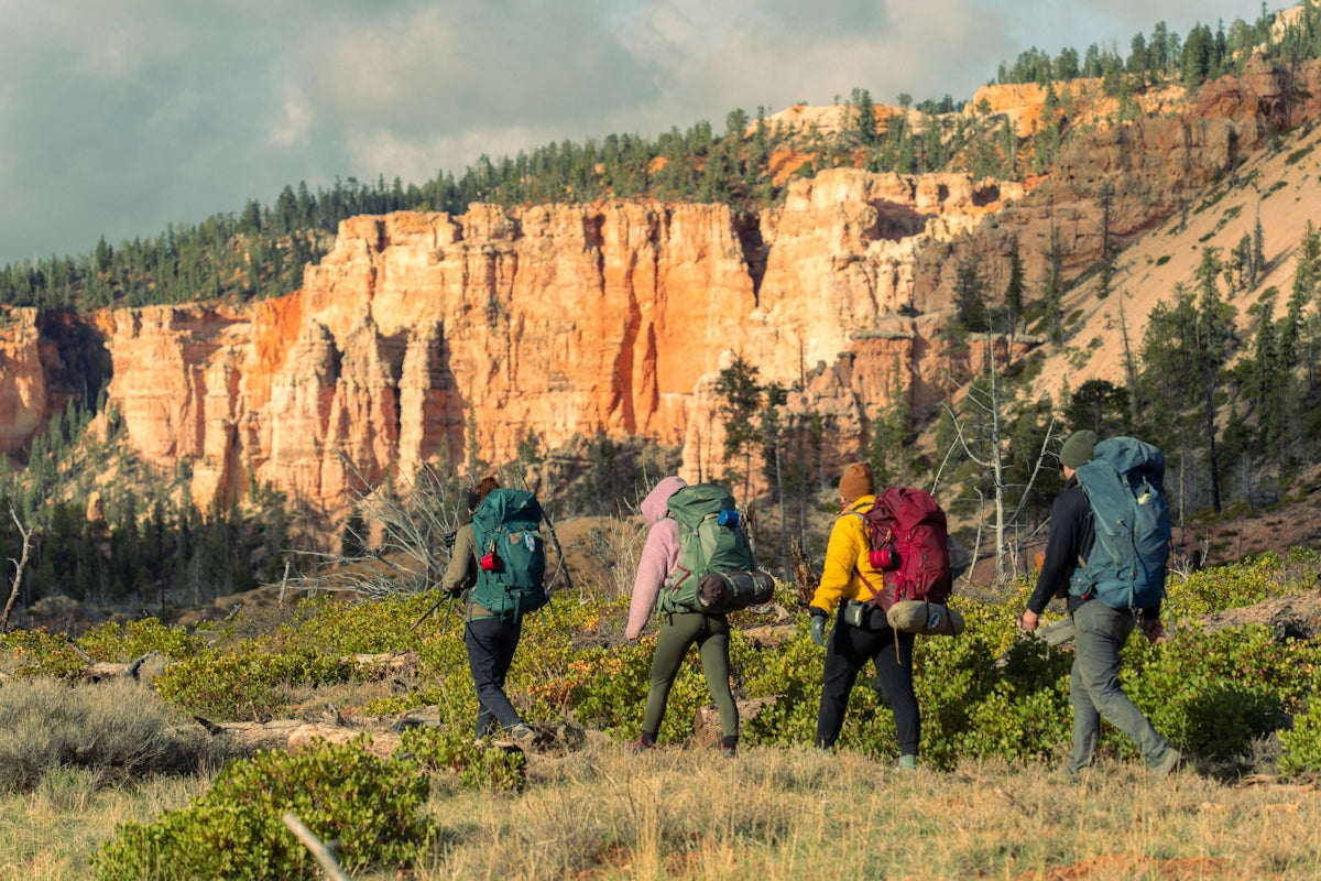 Hikers with backpacks walk towards a canyon landscape.