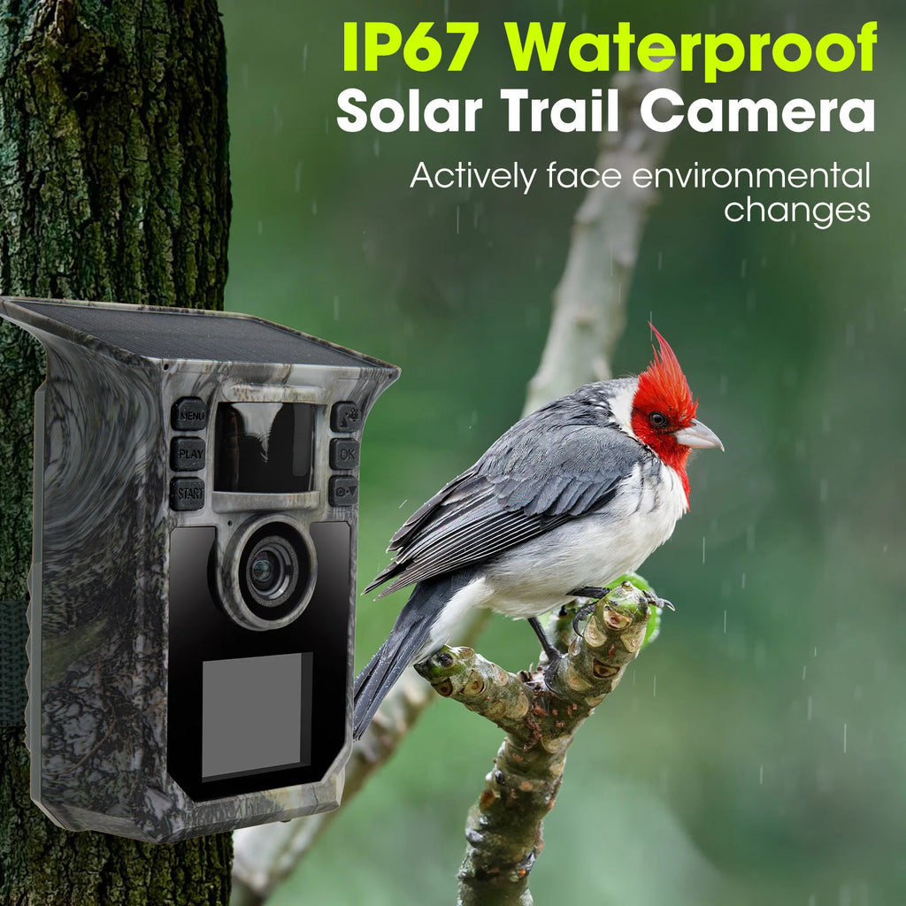 4K Solar Trail Camera, 64MP Trail Camera with Night Vision.