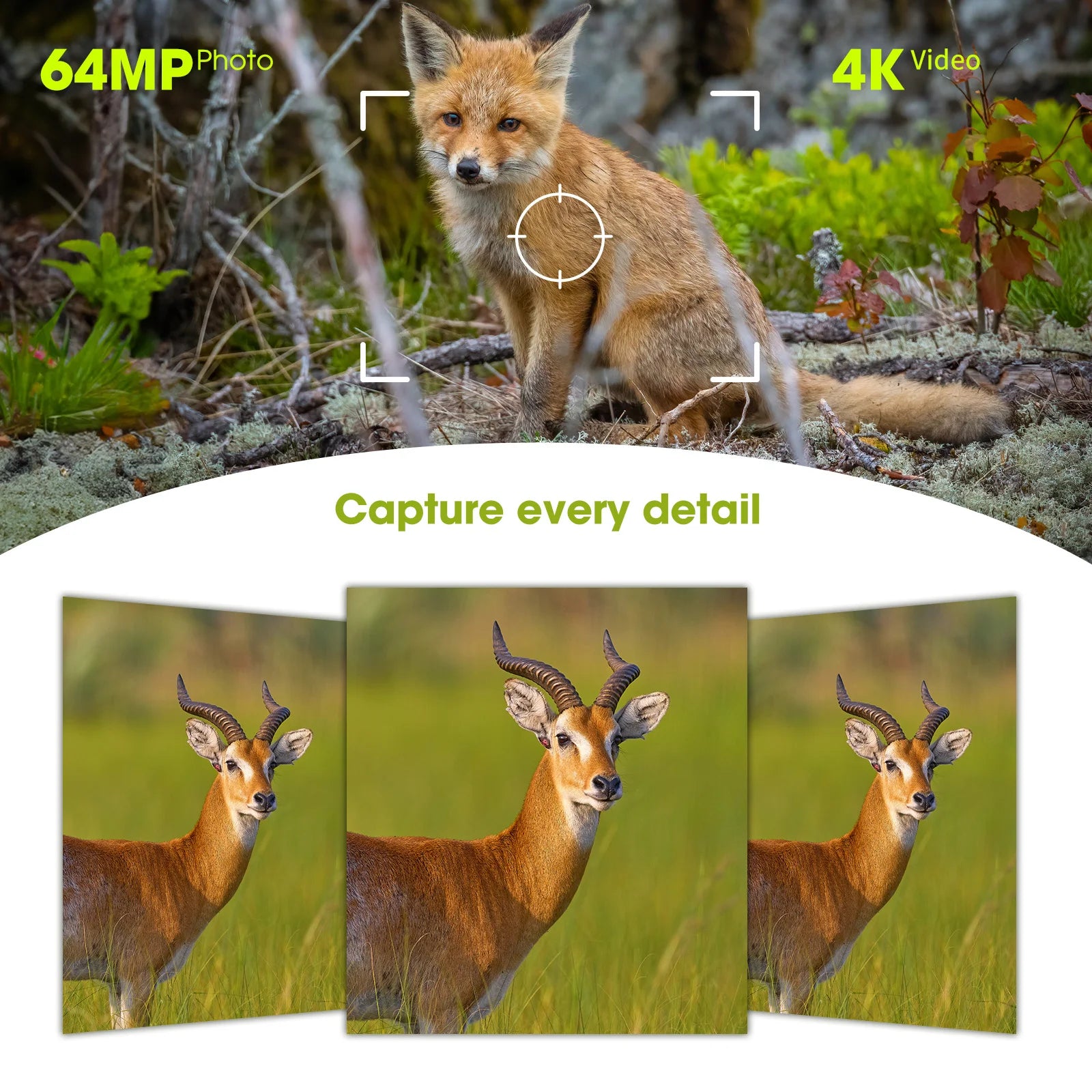 4K Solar Trail Camera, 64MP Trail Camera with Night Vision.