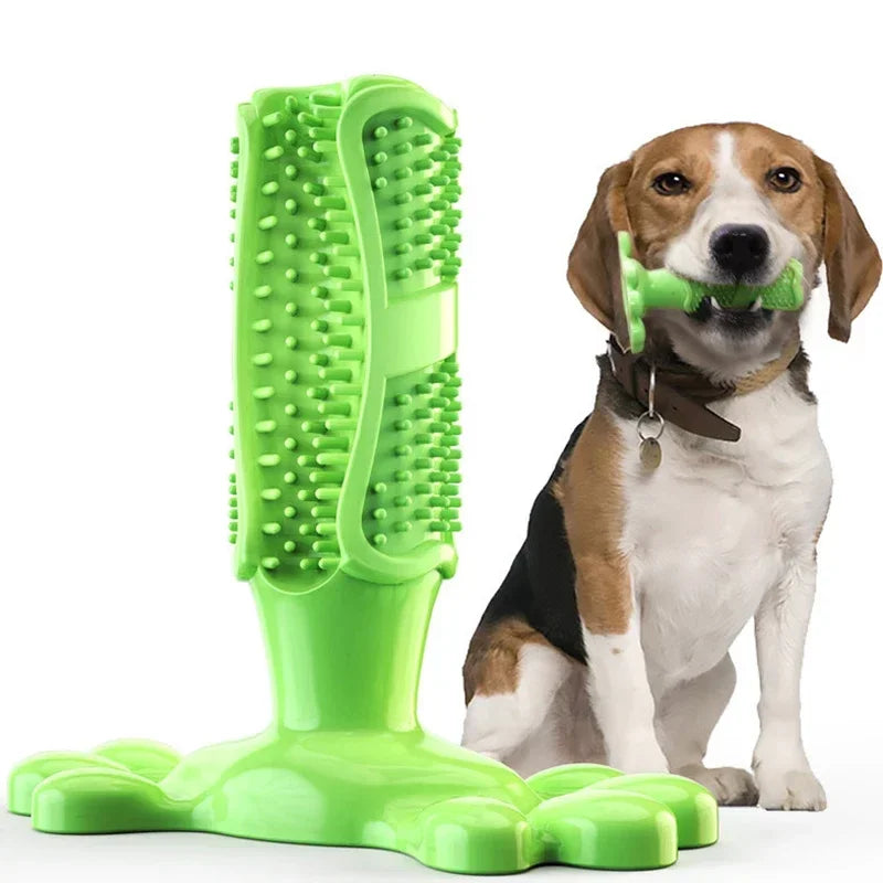 Pet Dog Cactus Interactive Rubber Chew Toys For Small Large Dogs Tooth Cleaning Toothbrush.