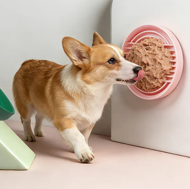 Silicone Dog Bowl Slow Feeder with Suction Cup & Licking Pad