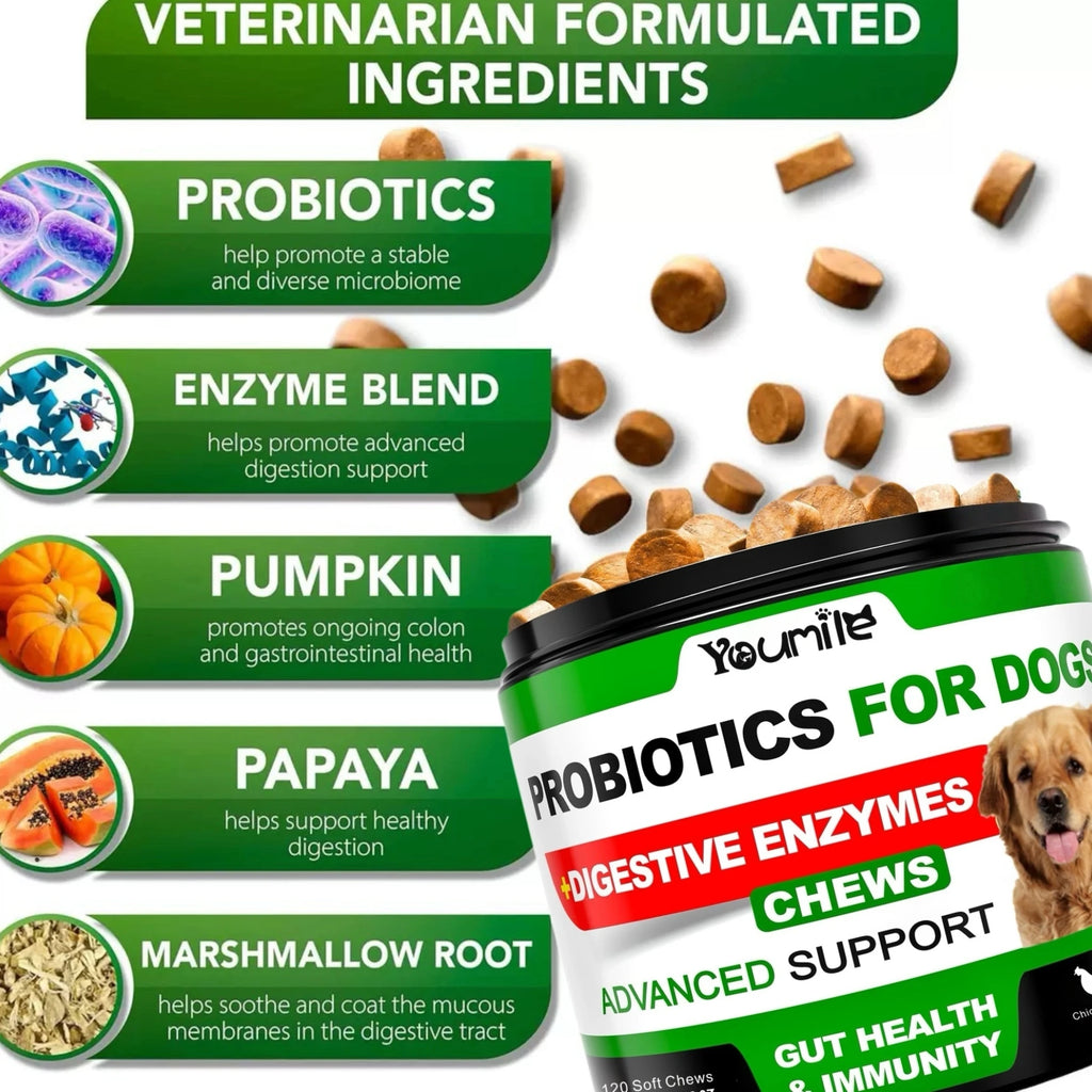 (20 Chews) Relieve stomach sensitivity and dog gut health probiotics - Digestive Remedies
