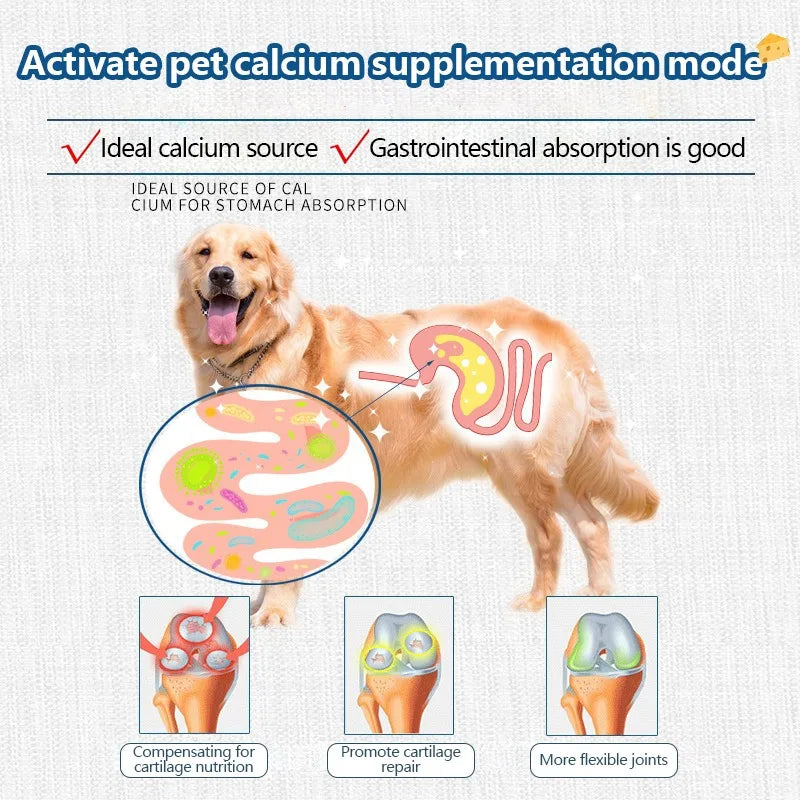 Pet Freeze-dried Food High Calcium Cheese Rich in Nutrients.
