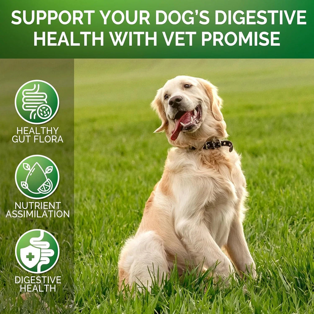 (20 Chews) Relieve stomach sensitivity and dog gut health probiotics - Digestive Remedies