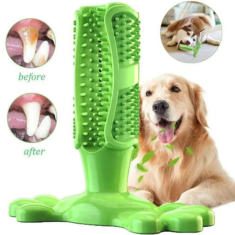 Pet Dog Cactus Interactive Rubber Chew Toys For Small Large Dogs Tooth Cleaning Toothbrush.