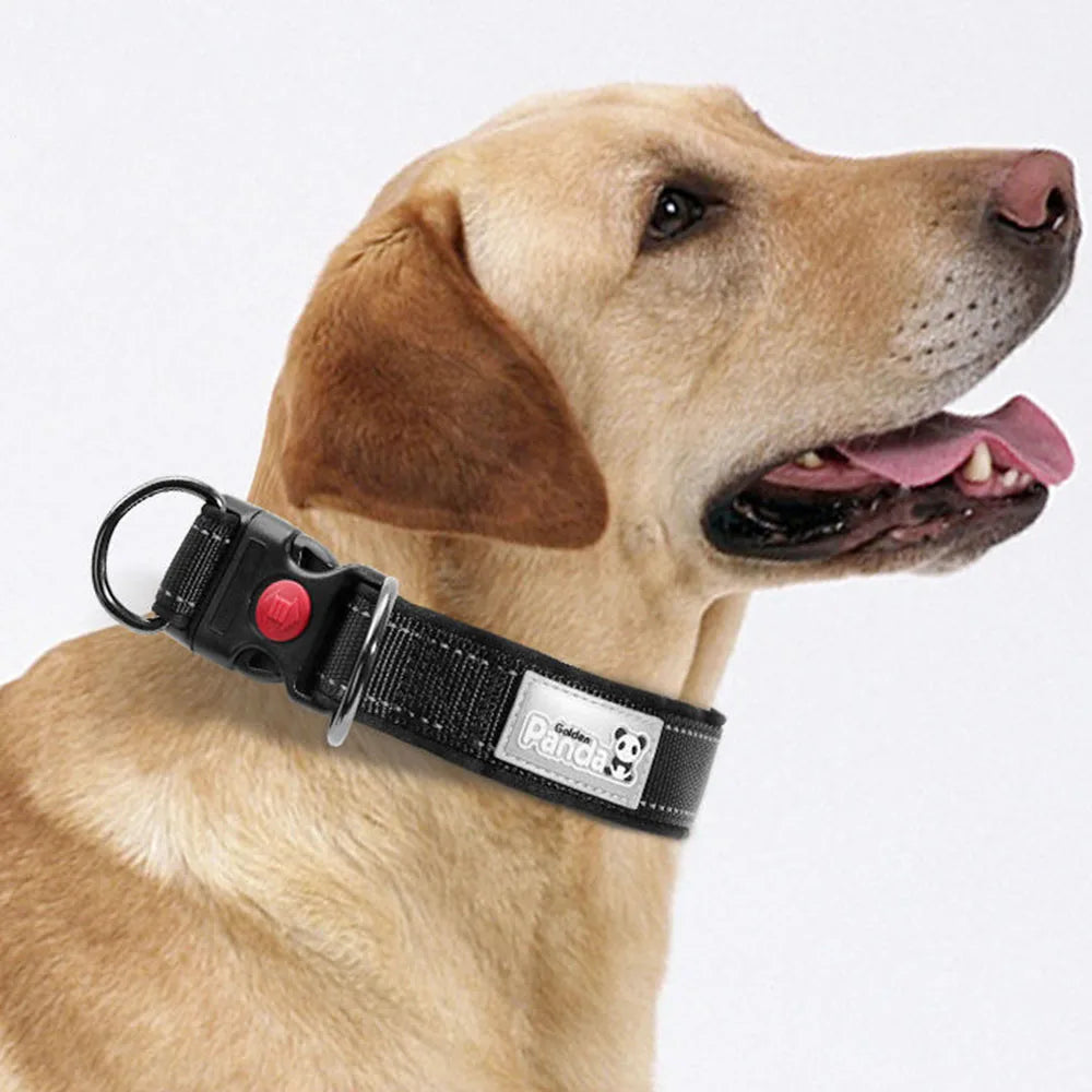 Adjustable Reflective Dog Collar - Soft Foam Padded Nylon with Quick Release