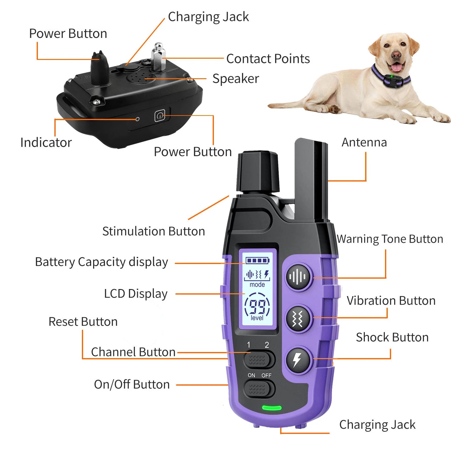 3300Ft Electric Dog Training Collar Remote Control Waterproof Pet Behavior.