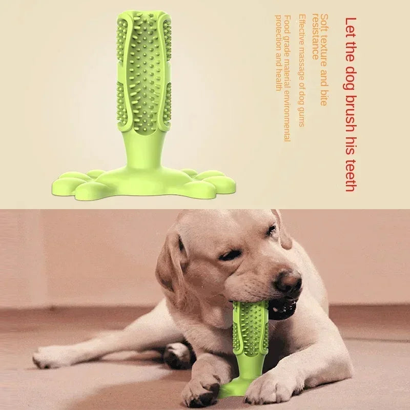 YEGBONG Dog Wash Shampoo: Flea & Mite Killer, Dirt Removal - Anti-Itch, Deodorizing & Moisturizing Formula for Softening Coat