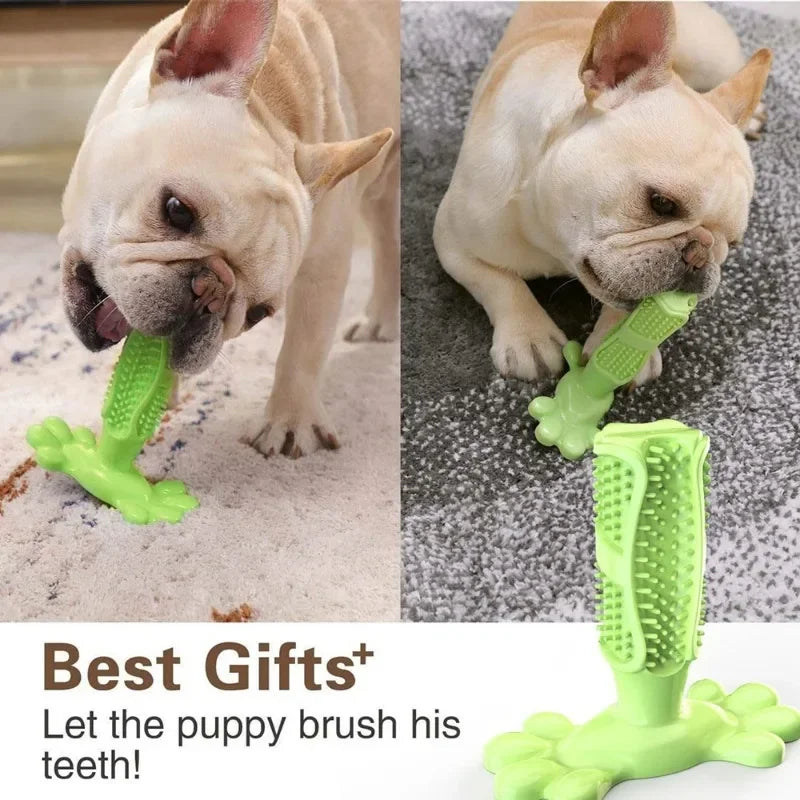 Pet Dog Cactus Interactive Rubber Chew Toys For Small Large Dogs Tooth Cleaning Toothbrush.