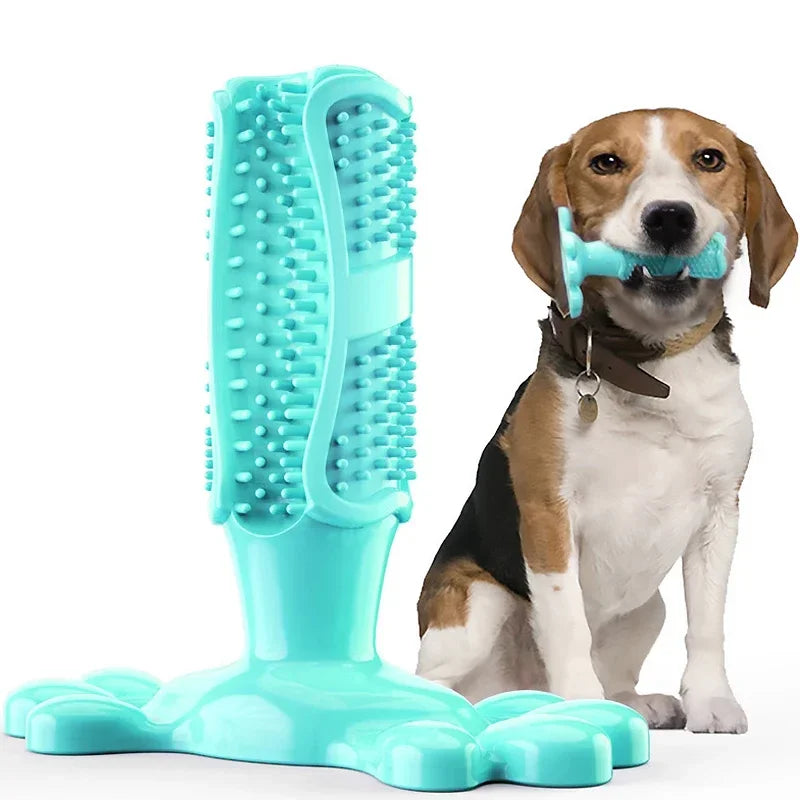 Pet Dog Cactus Interactive Rubber Chew Toys For Small Large Dogs Tooth Cleaning Toothbrush.