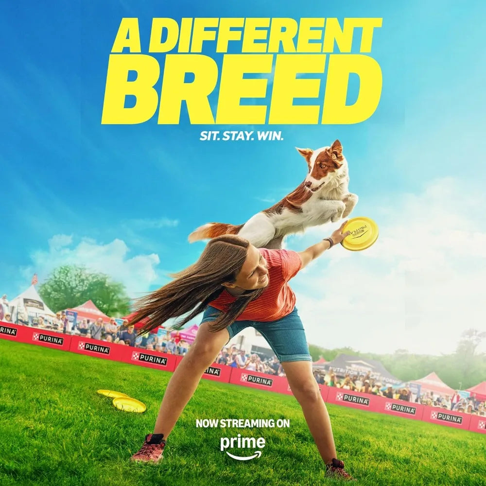 Complete Essentials Shredded Blend Beef and Rice Dog Food Dry Formula.