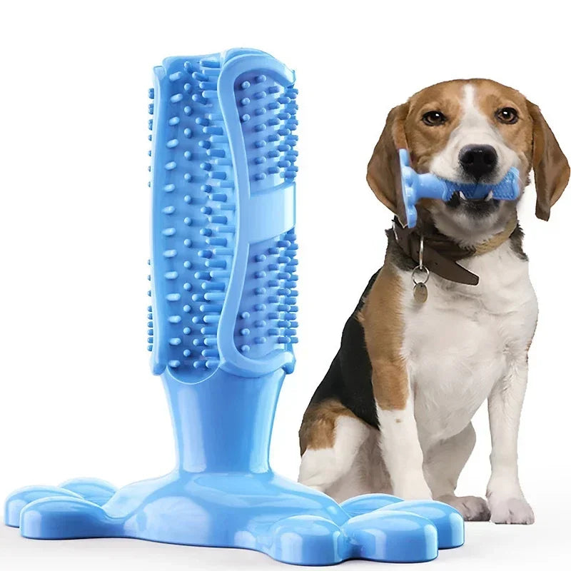 Pet Dog Cactus Interactive Rubber Chew Toys For Small Large Dogs Tooth Cleaning Toothbrush.