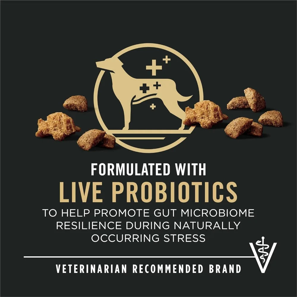 Complete Essentials Shredded Blend Beef and Rice Dog Food Dry Formula.