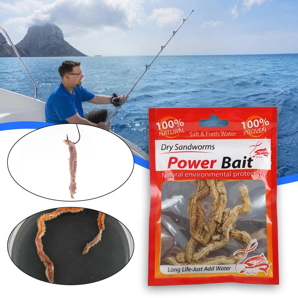 Dry Sandworms Fishing Lures Fishy Smell Lures Lifelike Dry.