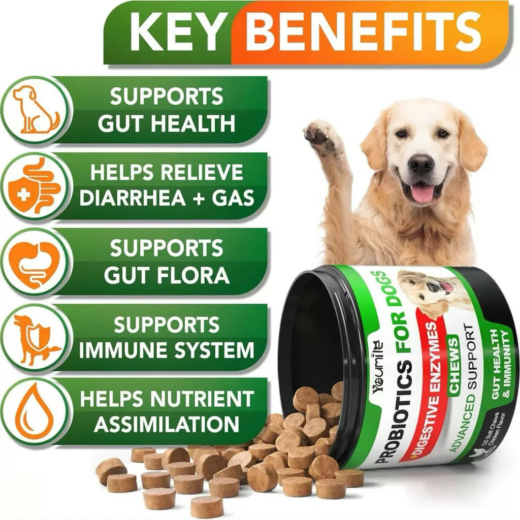 (20 Chews) Relieve stomach sensitivity and dog gut health probiotics - Digestive Remedies
