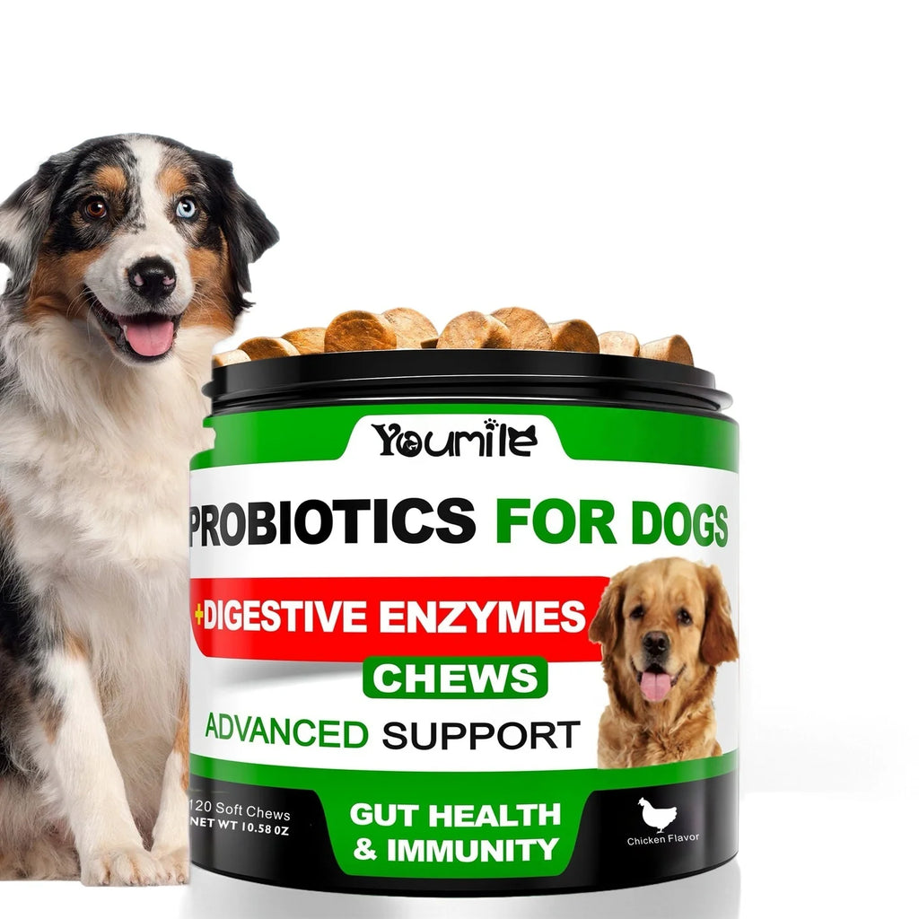 (20 Chews) Relieve stomach sensitivity and dog gut health probiotics - Digestive Remedies
