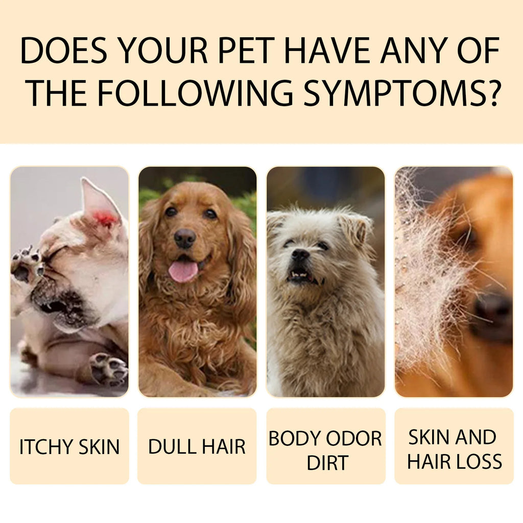 YEGBONG Dog Wash Shampoo: Flea & Mite Killer, Dirt Removal - Anti-Itch, Deodorizing & Moisturizing Formula for Softening Coat